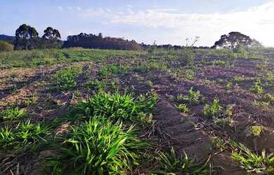 Imagem 13: Lote/Terreno para venda tem 500 metros quadrados em Usina - Atibaia -...