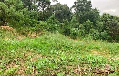 Imagem: O terreno possui 15.079m² de Área e está localizado em Chácaras