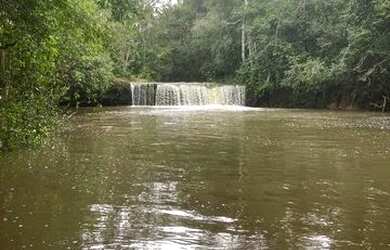 Imagem 6: FAZENDA À VENDA EM GOIATINS - TO - 329,12 HECTARES PECUÁRIA