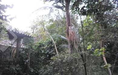 Imagem 11: PORTO ALEGRE - Terreno Padrão - Rubem Berta