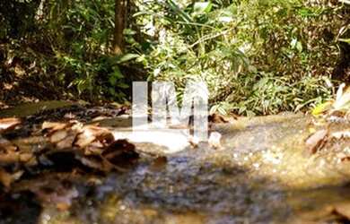 Imagem 8: Refúgio no Mato - Chácara no bairro do Rosário Atibaia- SP