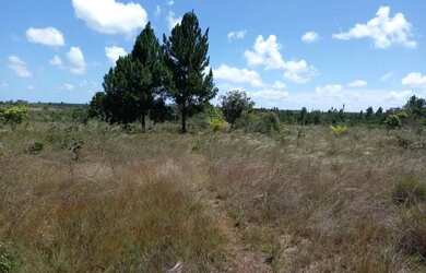 Imagem: O terreno possui 1000m² de Área e está localizado em Itapuã