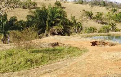 Imagem: A fazenda possui 275m² de Área e está localizado em Morrinhos