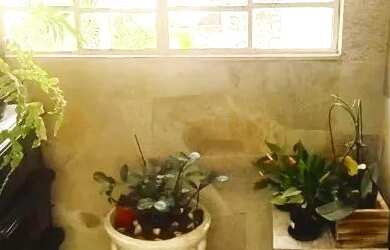 Imagem 10: SOBRADO - LAUZANE PAULISTA - SP