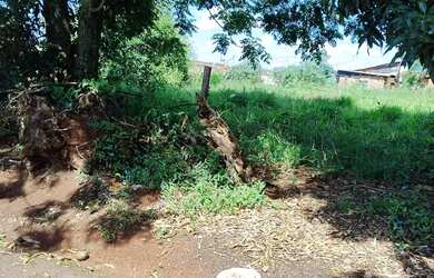 Imagem 4: Vendo terreno. 4.500m² de Área