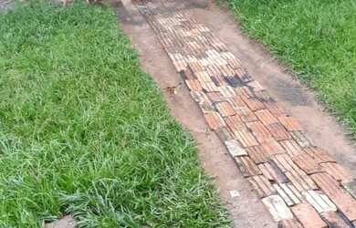 Imagem 6: Vende-se uma excelente fazenda de 226 hectares