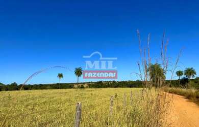 Imagem 10: Fazenda 68 alqueires 329 hectares Campos Verdes-GO