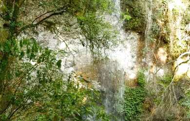 Imagem 4: Sitio - Bairro Santa Terezinha