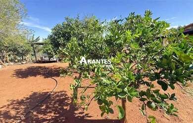 Imagem 15: Fazenda com 20 HECTARES à venda na área rural de Uberlândia