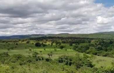 Imagem 12: Fazenda 180 hectares. 180m² de Área