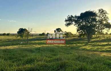 Imagem 3: Fazenda 68 alqueires 329 hectares Campos Verdes-GO