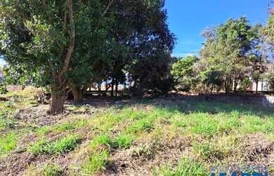 Imagem 3: TERRENO - CHÁCARAS SILVANIA - SP