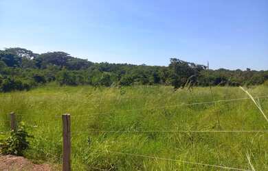 Imagem: A fazenda possui 29.000m² de Área e está localizado em Área
