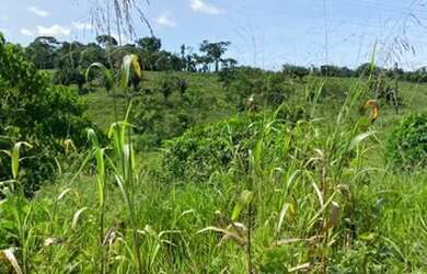 Imagem: A fazenda está localizado em Manoel Urbano, AC à venda por
