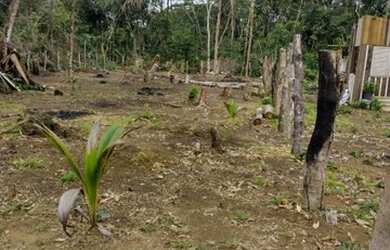 Imagem: O terreno possui 750m² de Área e está localizado em Redenção