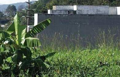 Imagem 1: Terreno à venda, 450 m² por R$ 530.000,00 - Pedra Branca - Palhoça/SC