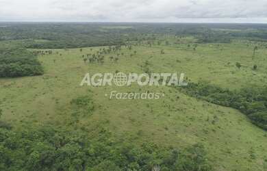 Imagem 16: Fazenda no Pará - São Miguel do Guamá - 260 ha 53 alq