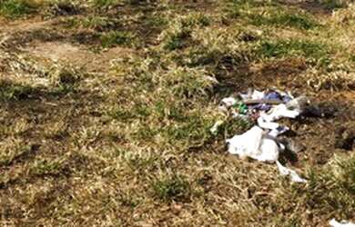 Imagem 3: Lote no Itaipu. 360m² de Área