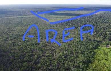 Imagem 2: Fazenda de 1000 hectares