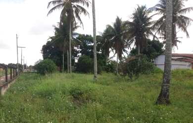 Imagem 4: TERRENO 22X50. 