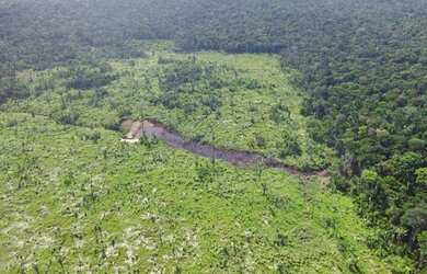 Imagem 3: Fazenda de 1000 hectares