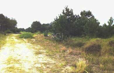 Imagem 7: Arroio do Sal - Terreno Padrão - Balneário Atlântico
