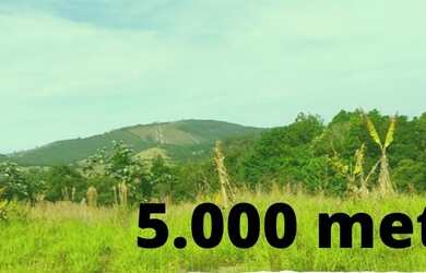 Imagem: O terreno possui 5.000m² de Área e está localizado em Centro