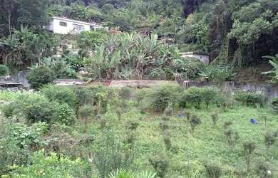 Imagem 14: Chácara para Venda - Horto Florestal