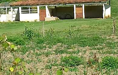 Imagem 3: Fazenda de 11.5 alqueires linda