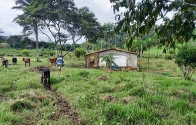 Imagem: A fazenda possui 80.586m² de Área e está localizado em São