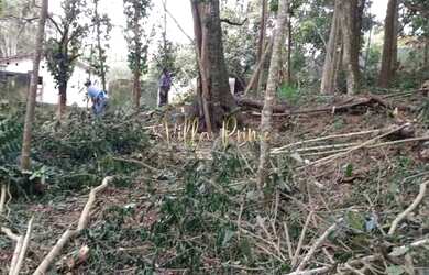 Imagem: O terreno possui 6.326m² de Área e está localizado em Santa
