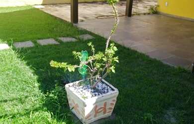 Imagem 13: TEMPORADA EM ITAIPUAÇU chame pelo WhatsApp