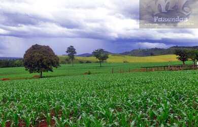 Imagem: A fazenda está localizado em Caiapônia, GO à venda por R$9.141.600