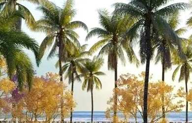 Imagem 10: Apartamento com 2 dormitórios à venda, 67 m² por R$ 740.000,00 - Porto...