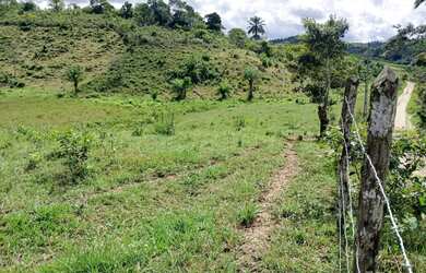 Imagem 6: Vendo excelente fazendinha em Nazaré das farinha