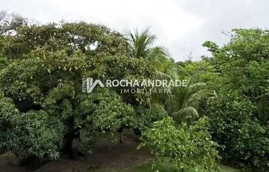 Imagem 16: Village de Condomínio Jacuipe