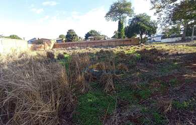 Imagem 3: Terreno à venda, 1000 m² por R$ 900.000,00 - Universitário - Cascavel/PR