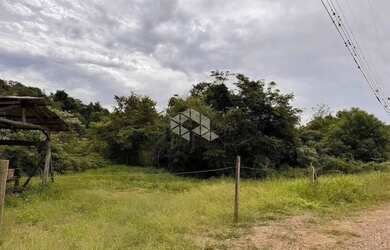 Imagem 9: Propriedade Rural com produção de Uvas e uma casa de Mista