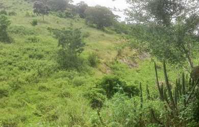 Imagem 15: FAZENDA REGIAO SERRANA CANTAGALO FORMADA E PERTO DA CIDADE