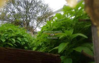 Imagem 6: Terreno à venda, 250 m² por R$ 450.000,00 - Jardim Vila Formosa - São...