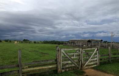 Imagem 6: Fazenda no Amajari