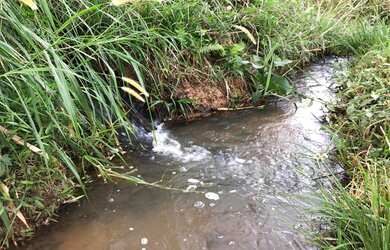 Imagem 16: FAZENDINHA CENTENÁRIA RICA EM ÁGUA À VENDA EM PIRACEMA/MG