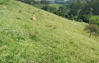 Imagem 16: Lote/Terreno para venda tem 10000 metros quadrados em Moinho I - Nazaré...