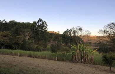 Imagem 8: FAZENDINHA CENTENÁRIA RICA EM ÁGUA À VENDA EM PIRACEMA/MG