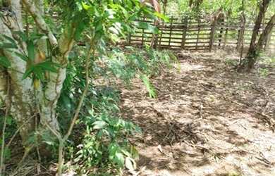 Imagem 13: Chácara Residencial Luana Parque Goiânia/GO