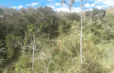 Imagem 12: Fazenda em Areal. 557m² de Área