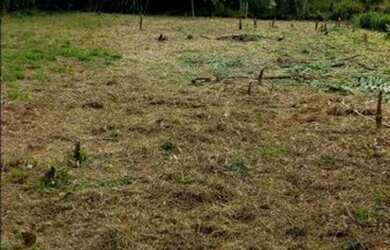 Imagem 5: TERRENO NO ELVAS 2000m2. 2.000m² de Área