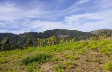 Imagem 6: Lote/Terreno para venda possui 5000 metros quadrados em santa luzia