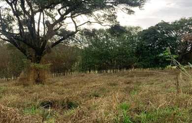 Imagem 4: Terreno em Nova Serrana. 800m² de Área