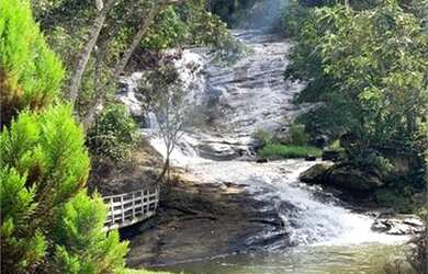 Imagem: A fazenda possui 72578m² de Área e está localizado em Domingos